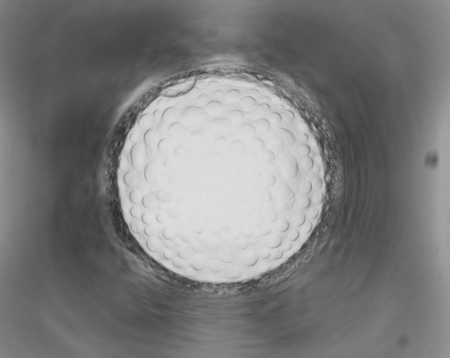 X0000116861400201002021056