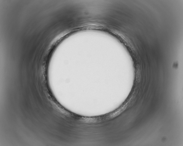 X0000116861402201002021056