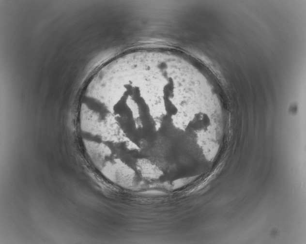 X0000116861405201002021056