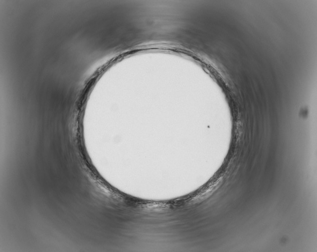 X0000116861406201002021056