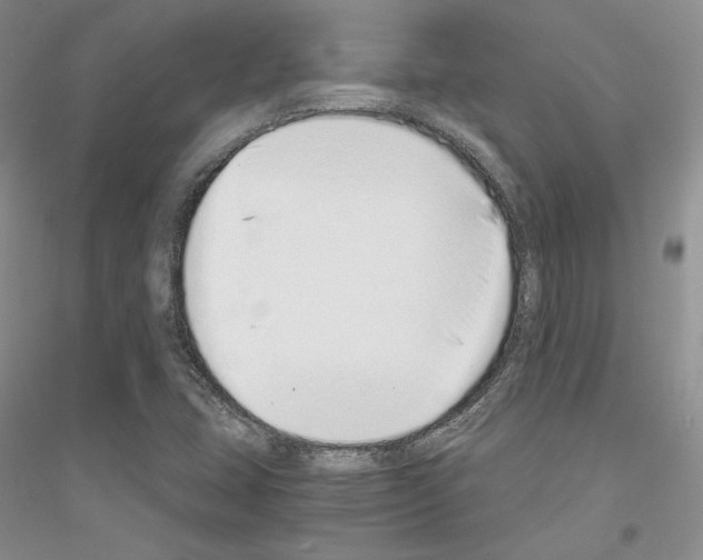 X0000116861407201002021056