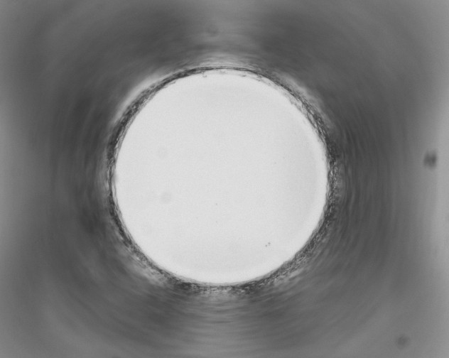 X0000116861408201002021056