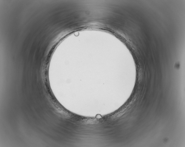 X0000116861410201002021057