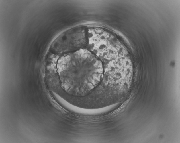 X0000116861413201002021057