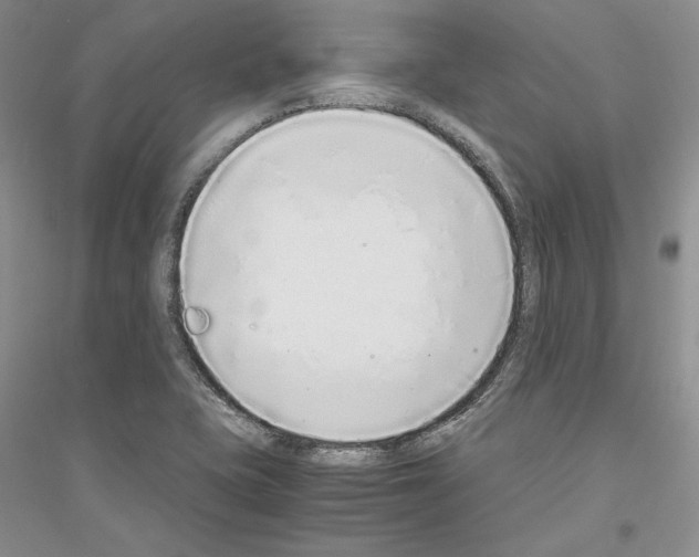 X0000116861415201002021057