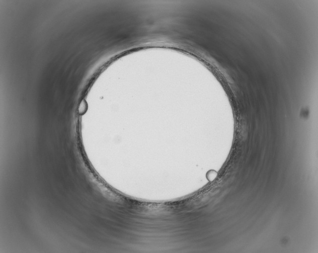 X0000116861416201002021057