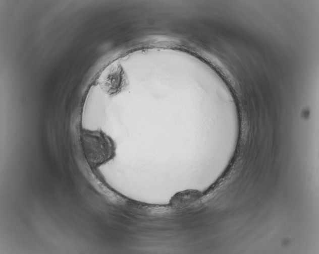 X0000116861421201002021057