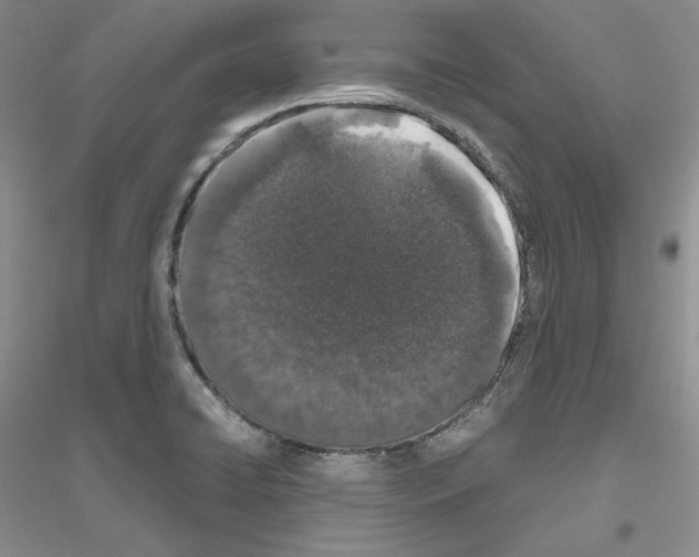 X0000116861422201002021057