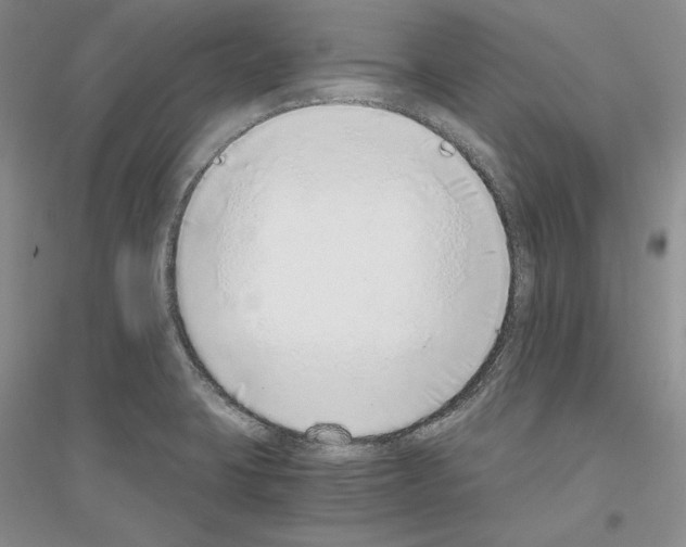 X0000116861423201002021057