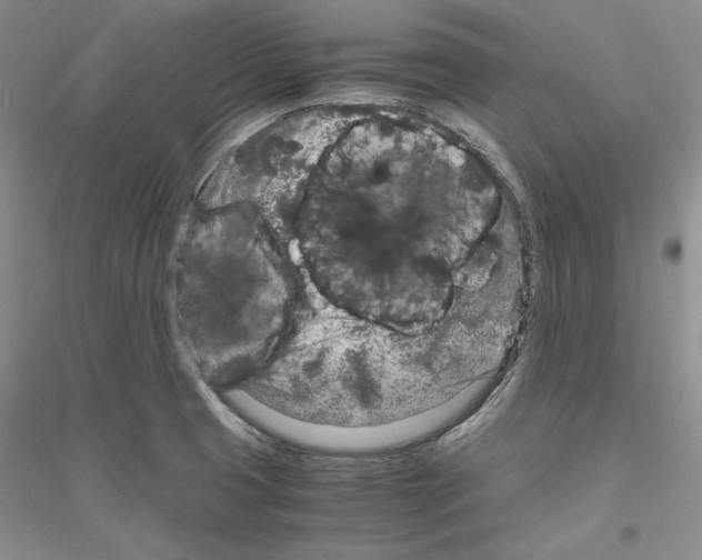 X0000116861425201002021057