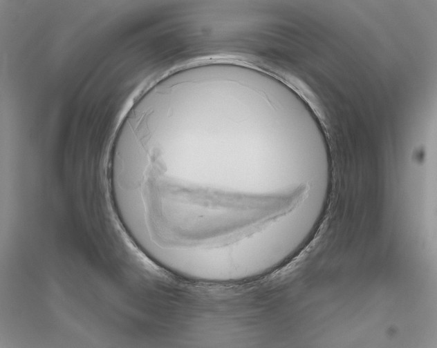 X0000116861428201002021057