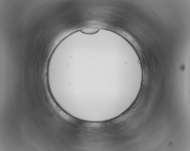 X0000116861431201002021057