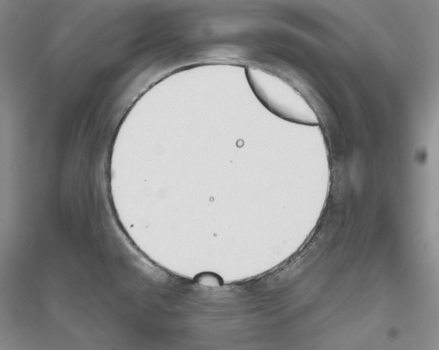 X0000116861432201002021057