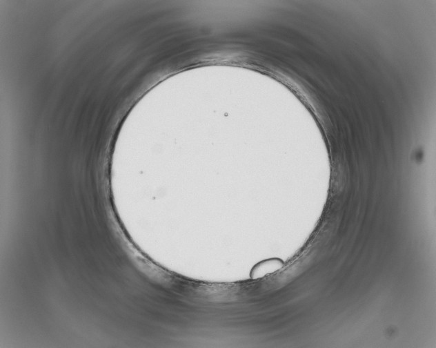 X0000116861434201002021057