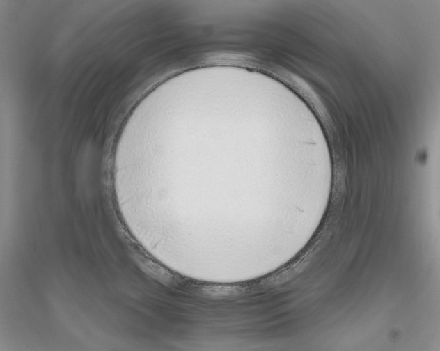 X0000116861435201002021057