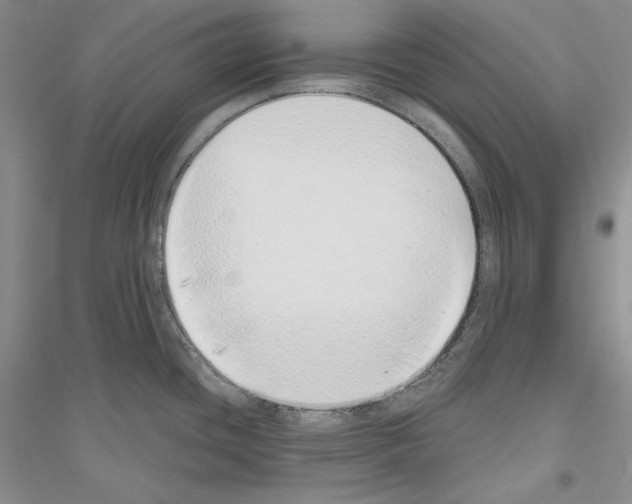 X0000116861436201002021057