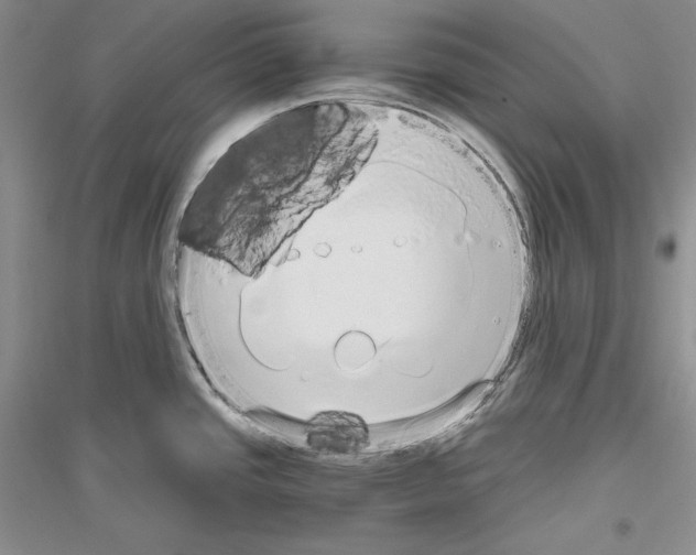 X0000116861437201002021057