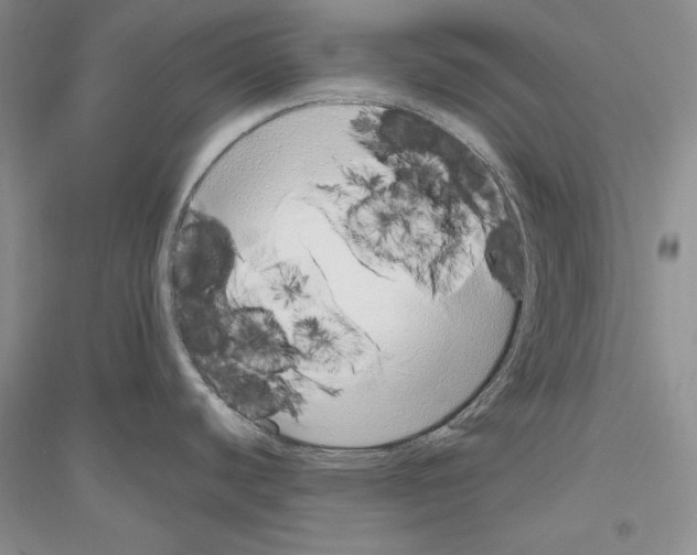 X0000116861440201002021057