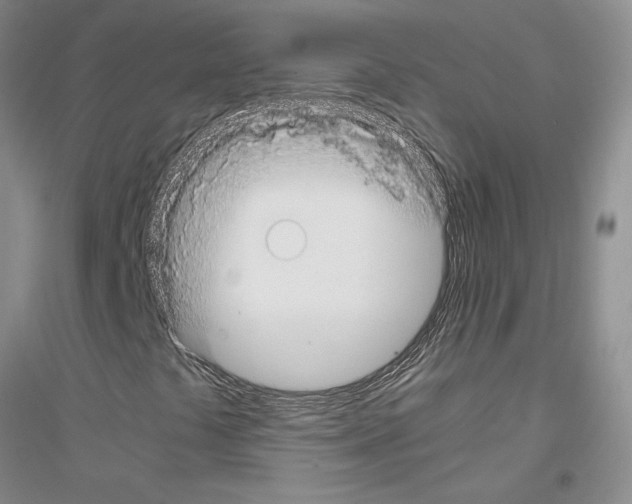 X0000116861441201002021056