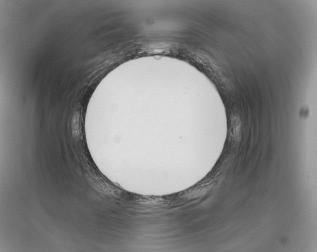 X0000116861442201002021056