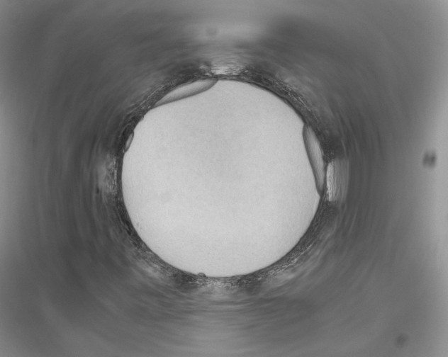 X0000116861443201002021056