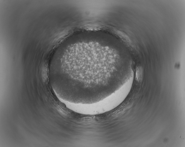 X0000116861444201002021056