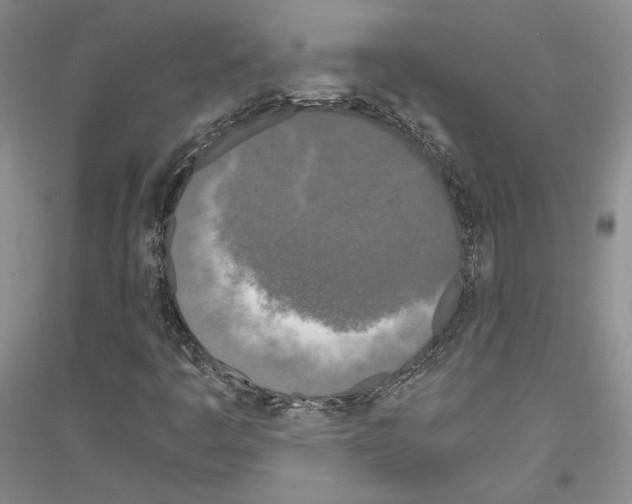 X0000116861445201002021056