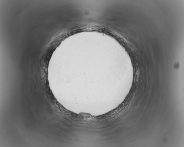 X0000116861447201002021056