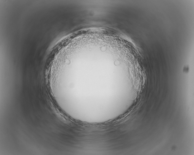 X0000116861448201002021056