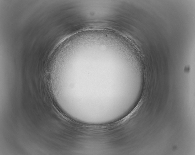 X0000116861449201002021056