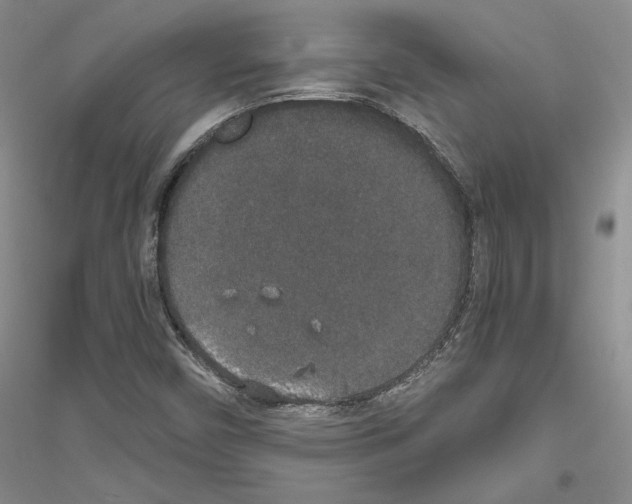 X0000116861450201002021056