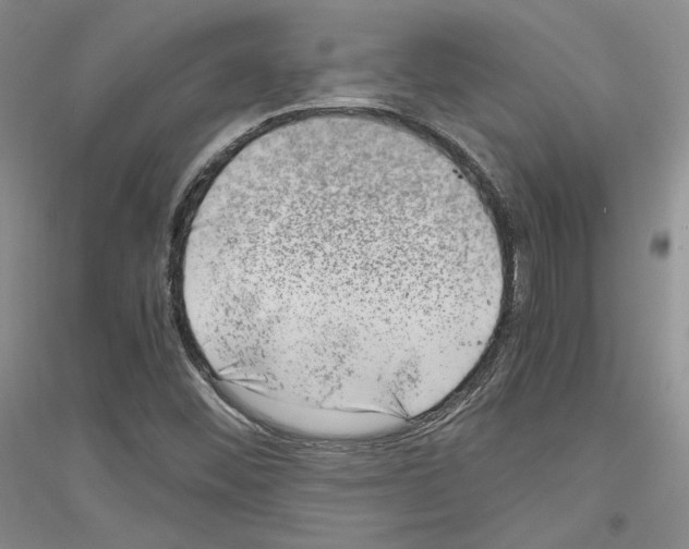 X0000116861452201002021056