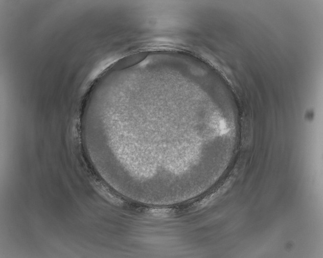 X0000116861453201002021056