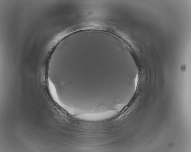 X0000116861455201002021056