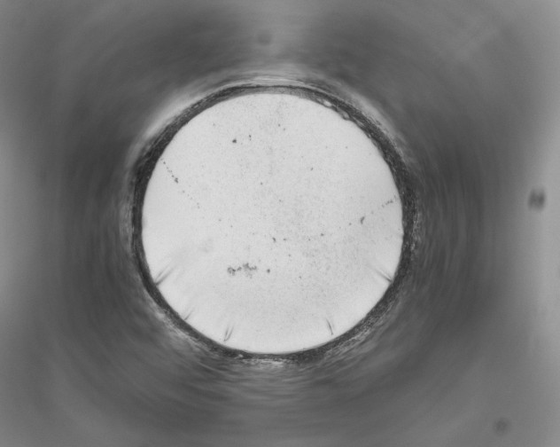 X0000116861456201002021056