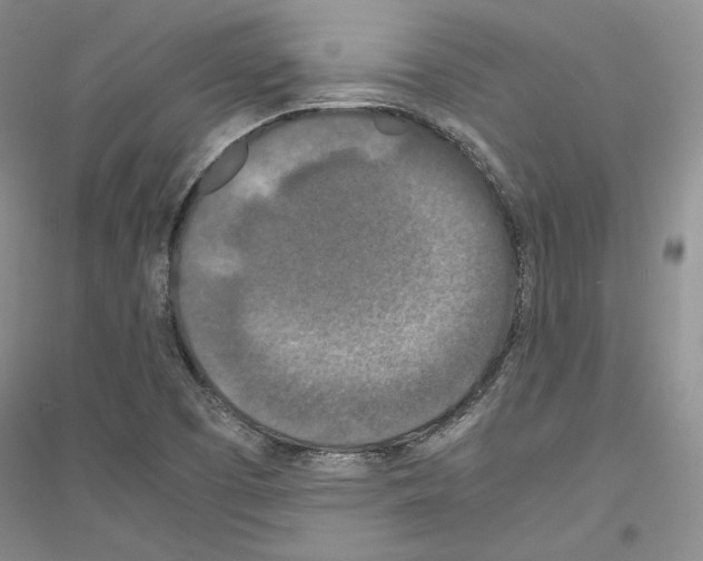 X0000116861457201002021056