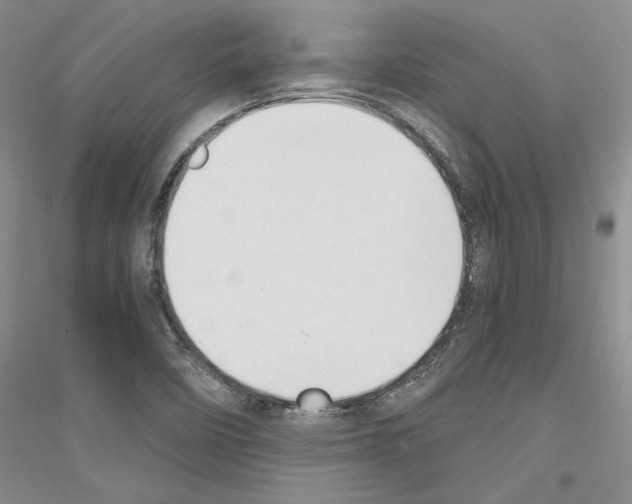 X0000116861458201002021056