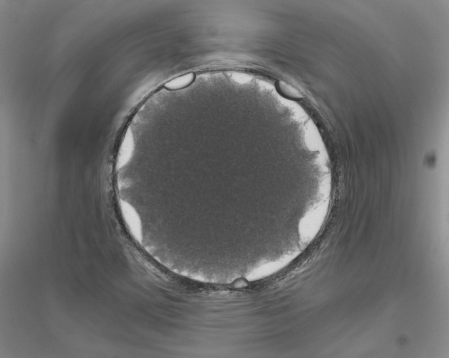 X0000116861459201002021056