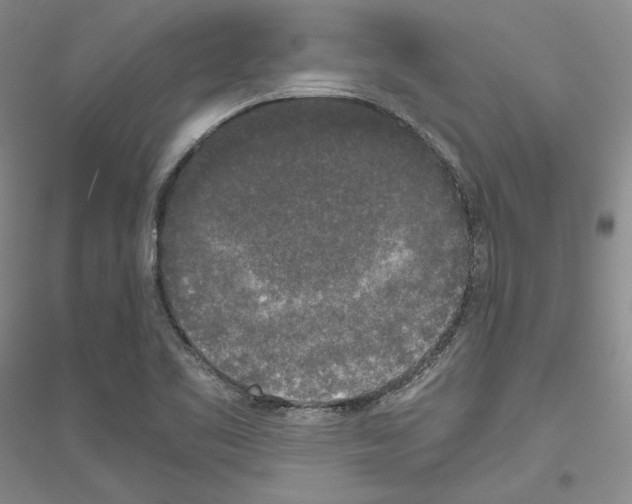 X0000116861461201002021056