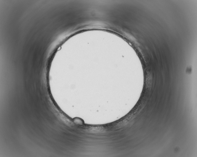 X0000116861464201002021056