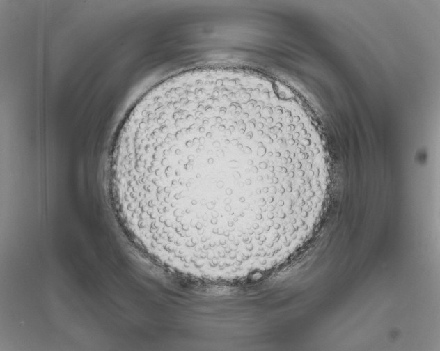 X0000116861467201002021056