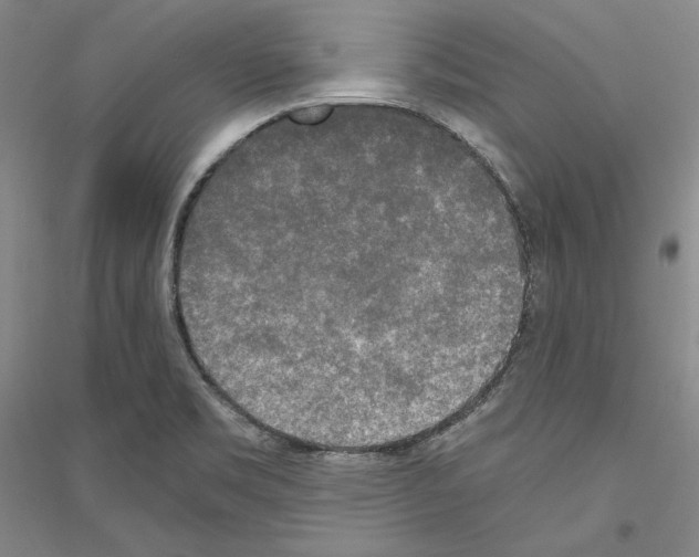 X0000116861469201002021056