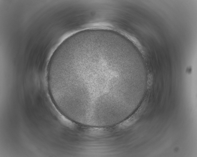 X0000116861470201002021056