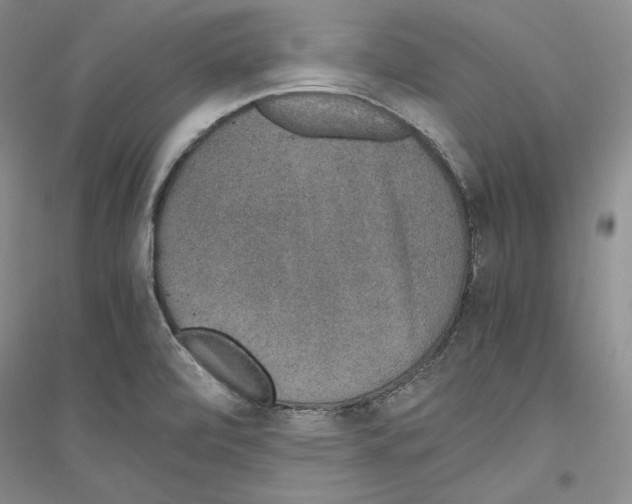 X0000116861472201002021056