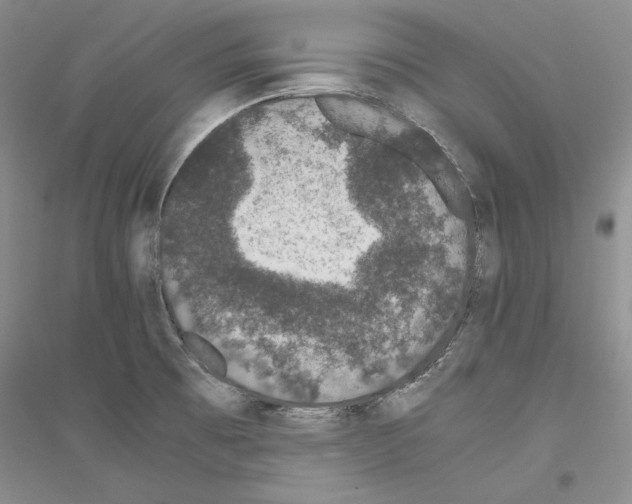 X0000116861473201002021056