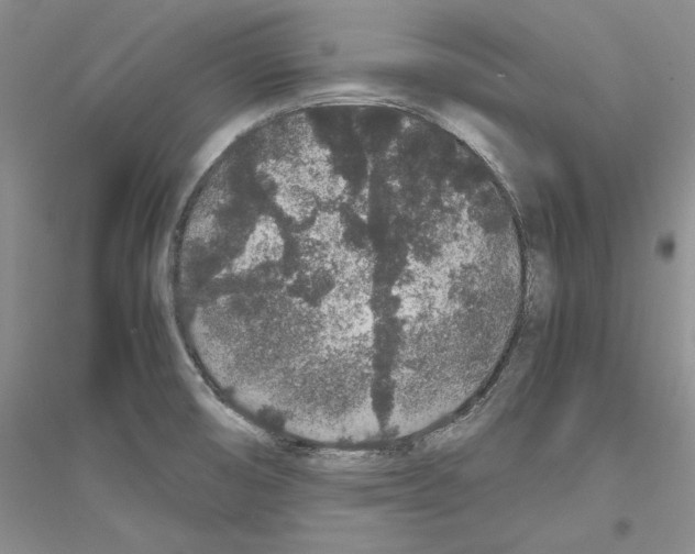 X0000116861474201002021056