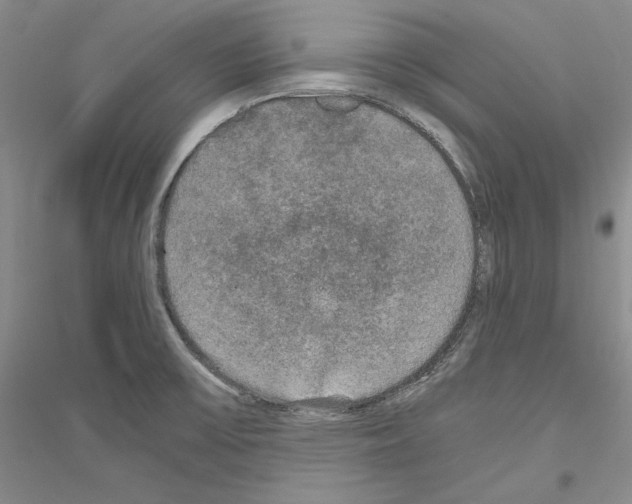 X0000116861475201002021056