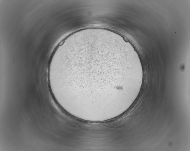 X0000116861476201002021056