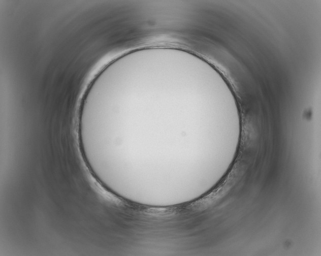 X0000116861478201002021056