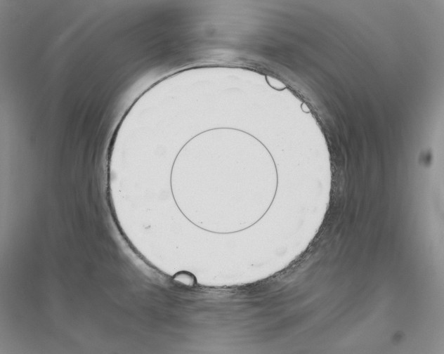 X0000116861479201002021056